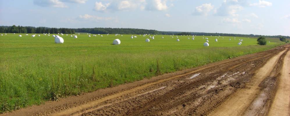 
            Фотография Гольянов