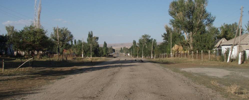 
            Фотография Кошкараты