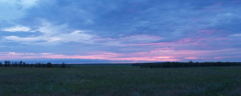 
            Фотография Прогресса