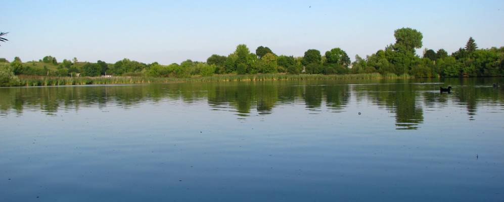 
            Фотография Зеленой