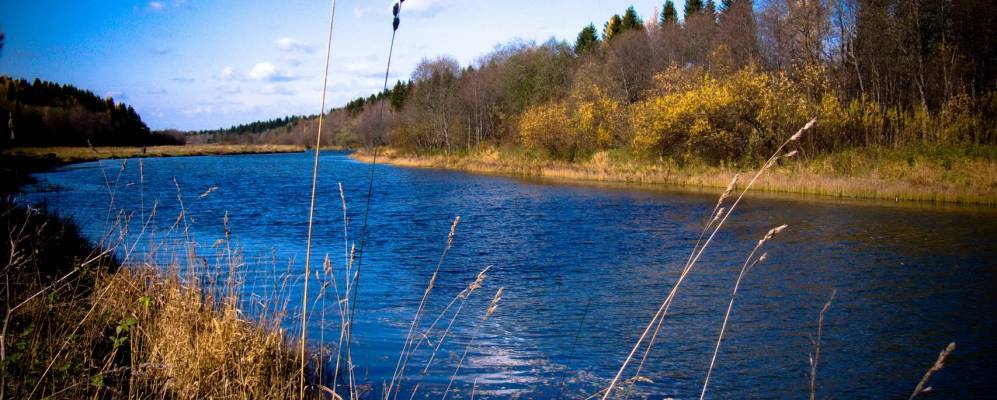 
            Фотография Каменного Лога