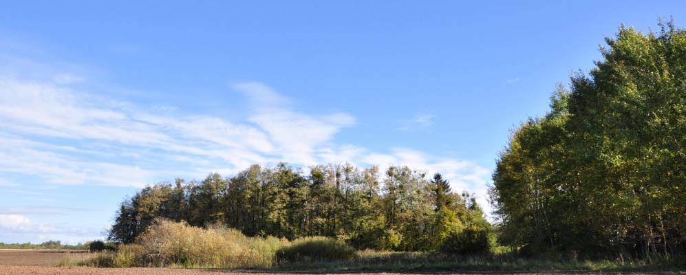 
            Фотография Вершин