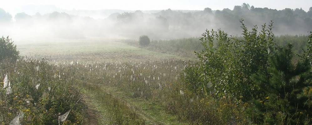
            Фотография Богданово