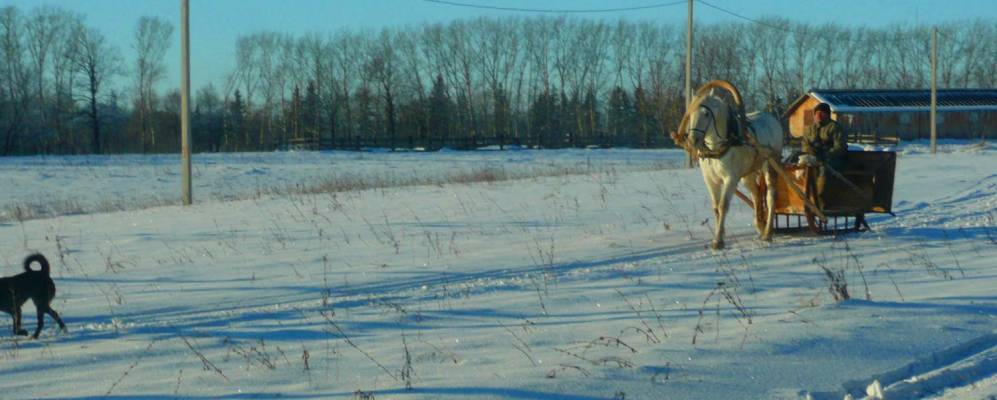 
            Фотография Ромоданово