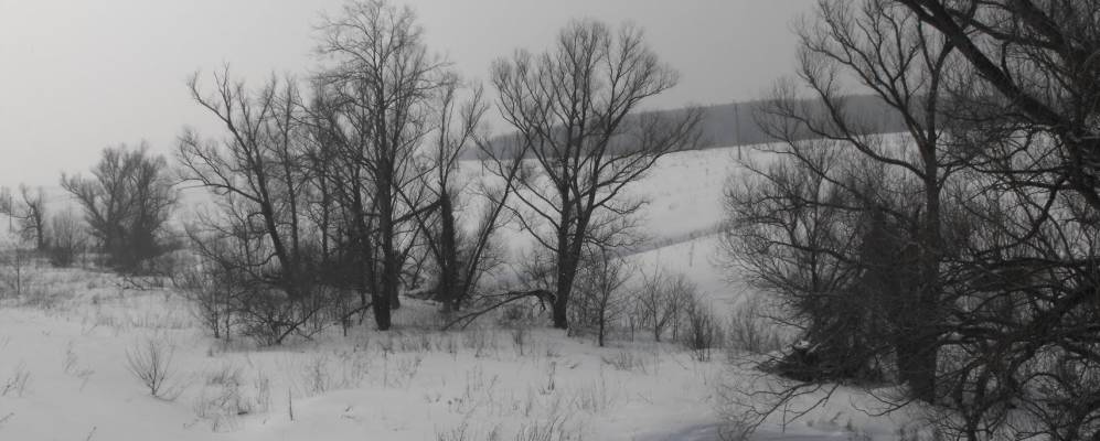 
            Фотография Алешкино