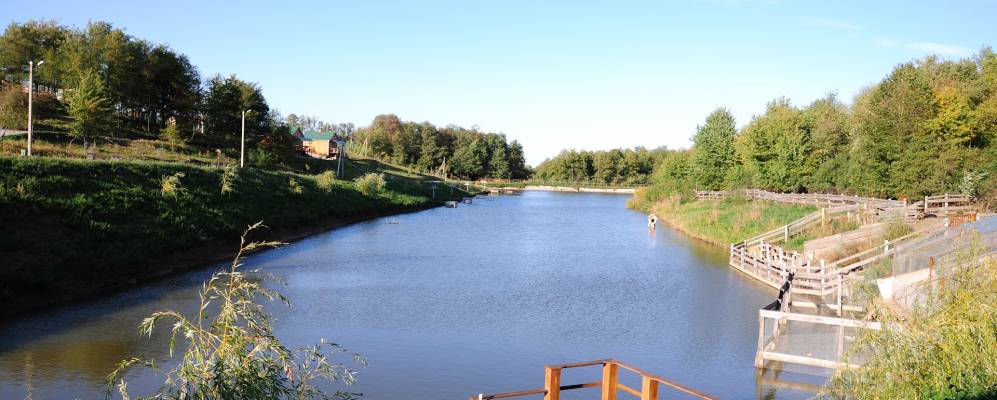 
            Фотография Вышковского