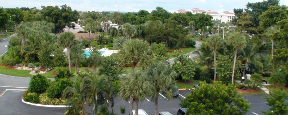 
            Фотография Палм Эйра