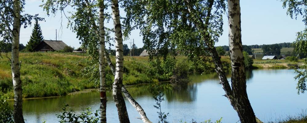 
            Фотография Барабы