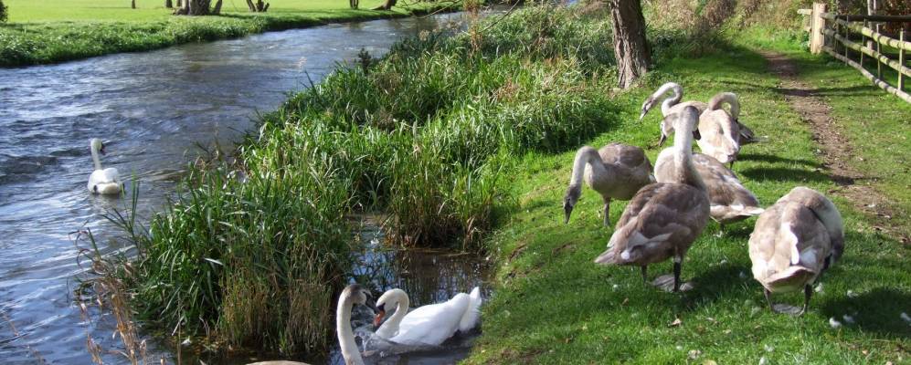 
            Фотография Фэрфорда