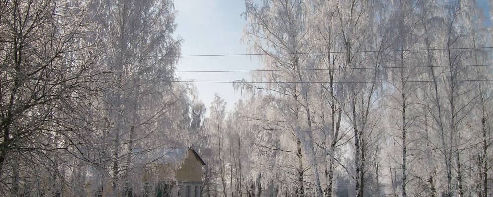 
            Фотография Кудиново
