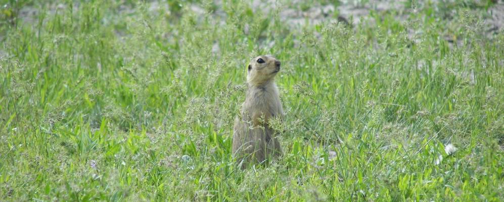 
            Фотография Исаево