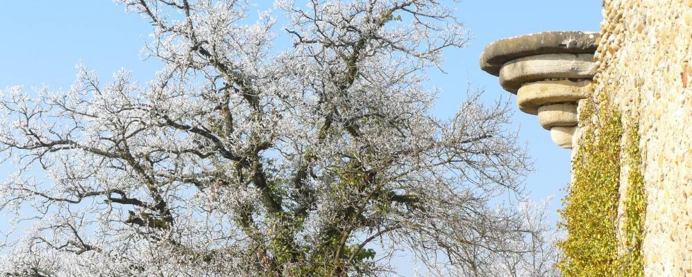 
            Фотография Пюзиньяна