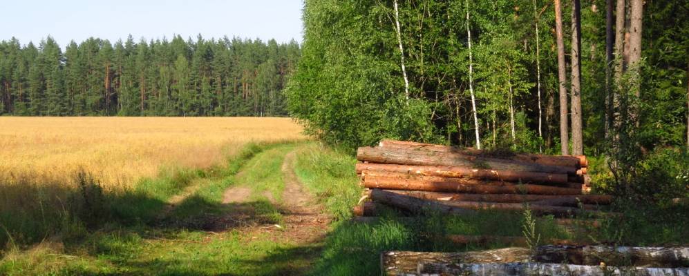 
            Фотография деревни Сталюги