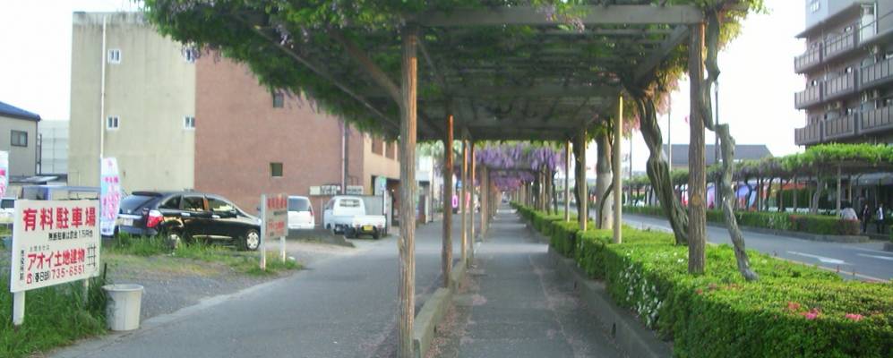 
            Фотография Касукабе