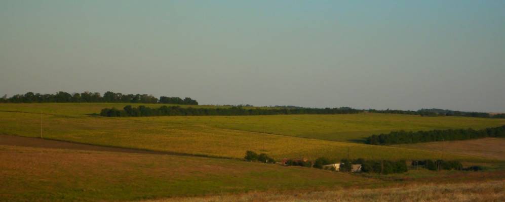 
            Фотография Матышевки