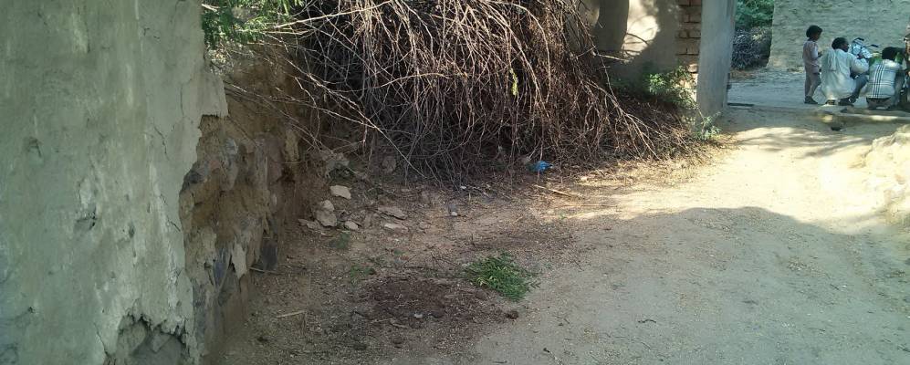 
            Фотография Гасеры