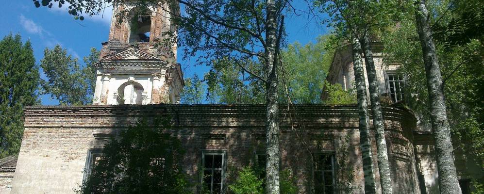 Фотография Папулино