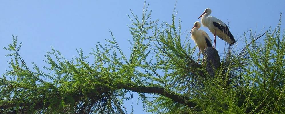 
            Фотография Куликово