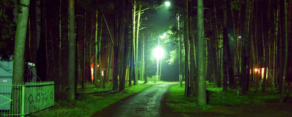 Фотография Сосновки