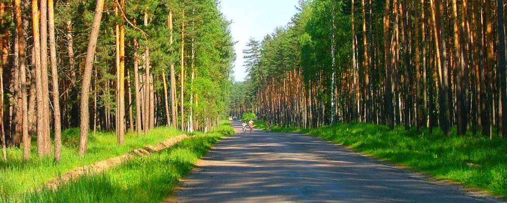 
            Фотография Второго Отделения Совхоза Новоусманский