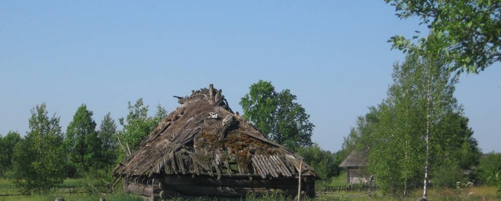 
            Фотография Ракитного