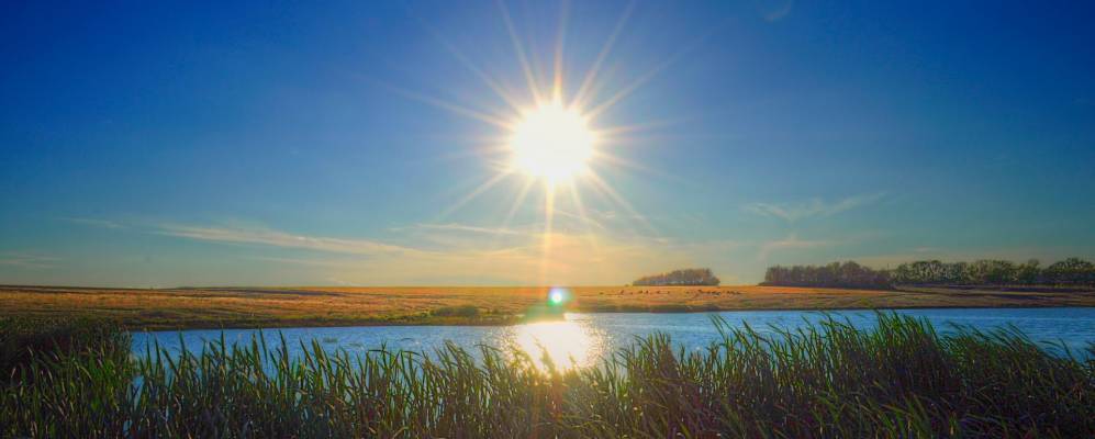 Фотография Дорогой