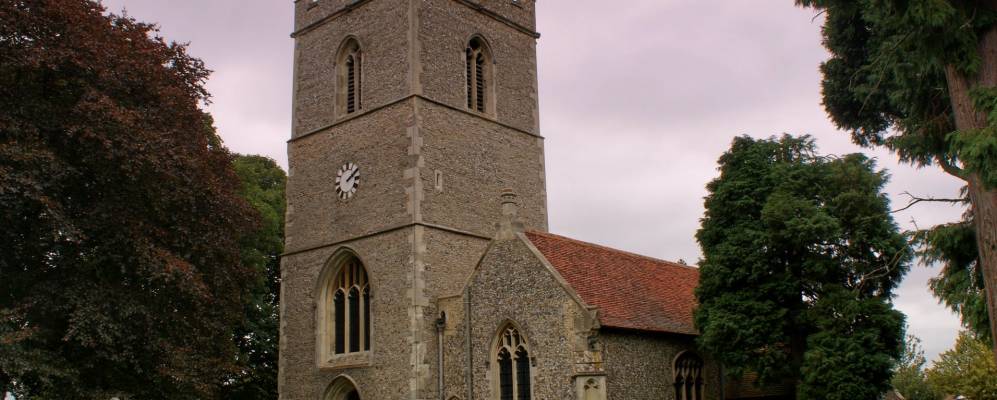 
            Фотография Кодикоута