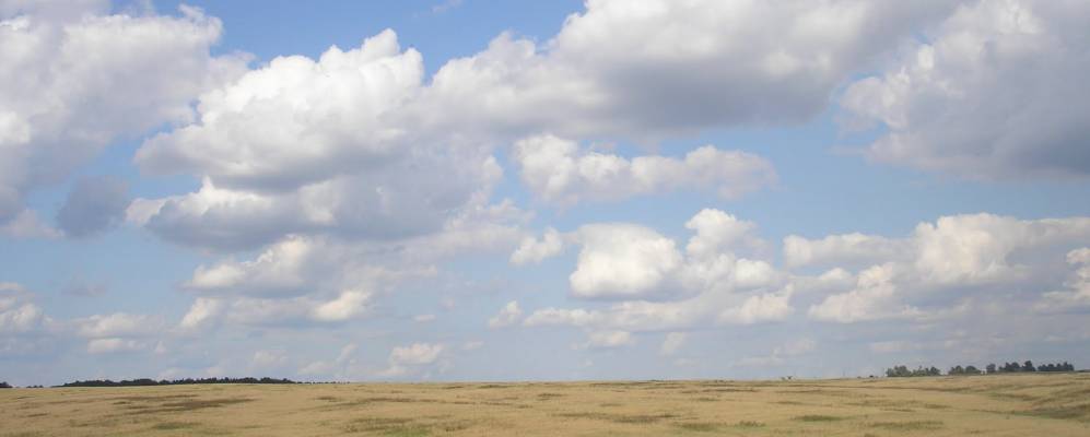 
            Фотография Смыкова