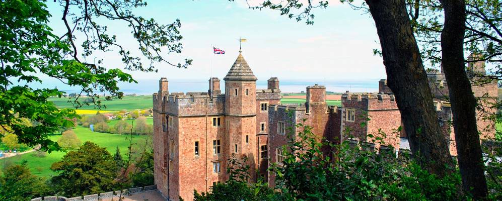 
            Фотография Данстер