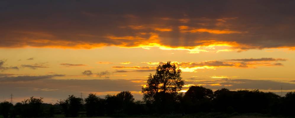 
            Фотография Данбойна