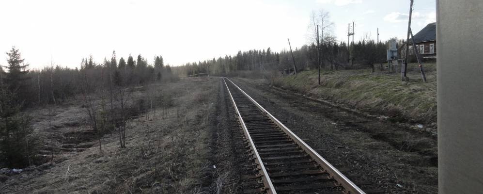 
            Фотография Нестеровы Горки