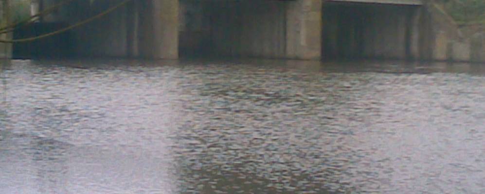 
            Фотография Веселого Кута