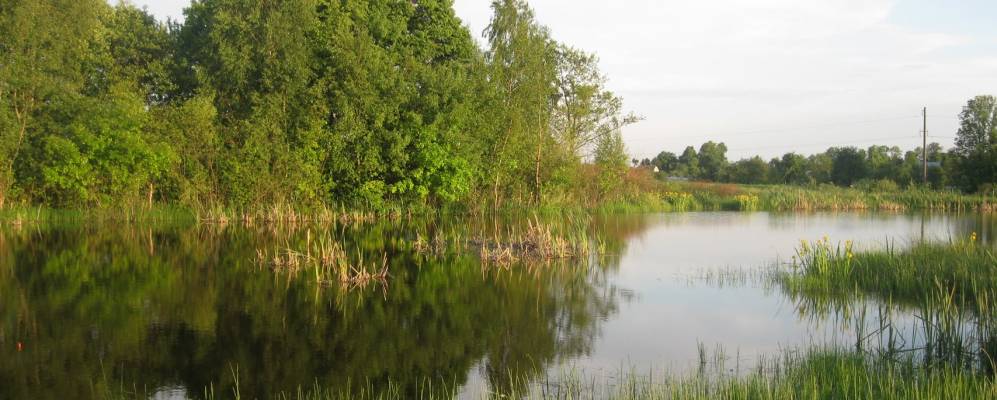 
            Фотография Порубы