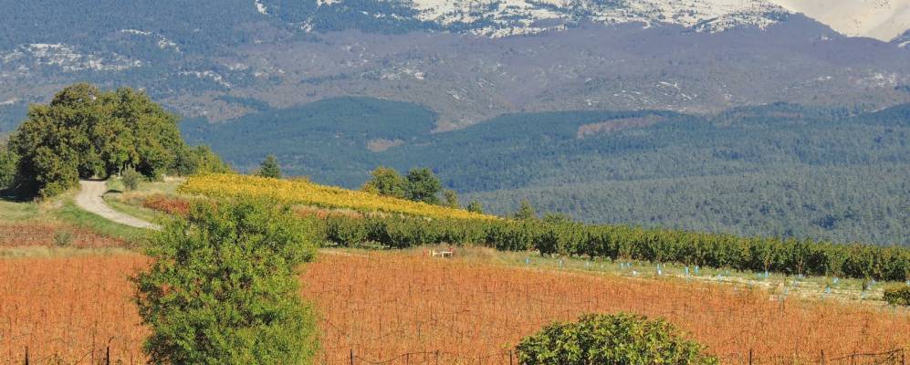 
            Фотография Мазана