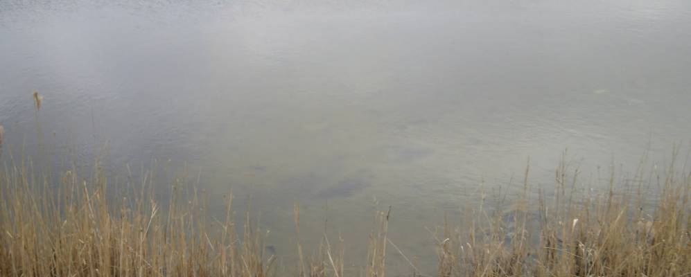 
            Фотография Шевченково