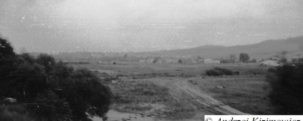 
            Фотография Лопушницы