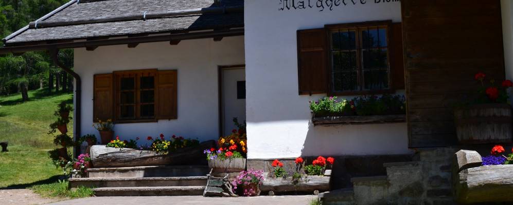 
            Фотография Тродены