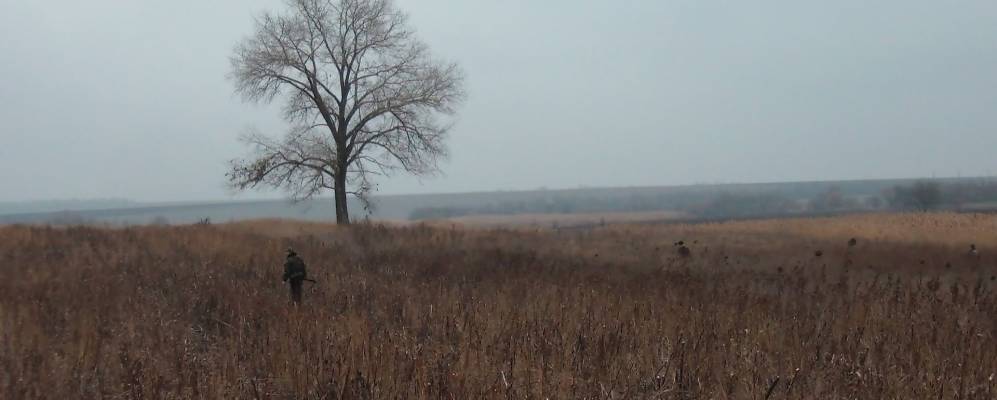 
            Фотография Свиридово