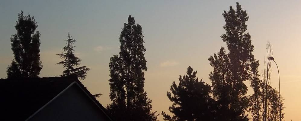 
            Фотография Марси-л'Этуаль