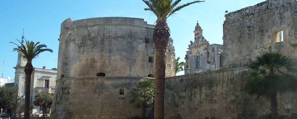 
            Фотография Пальмаригджи