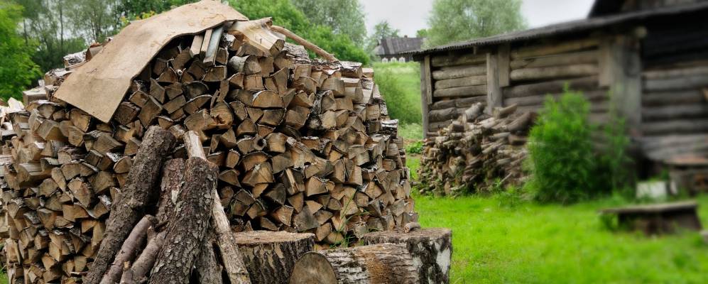 
            Фотография Поселка Имени Карла Маркса
