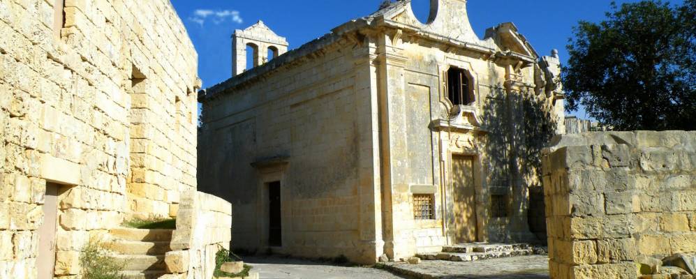 
            Фотография Зеббуга