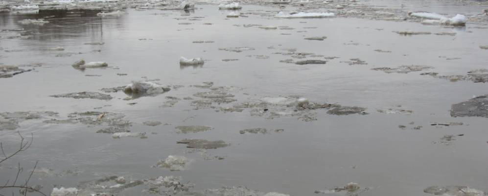 
            Фотография Сенькино