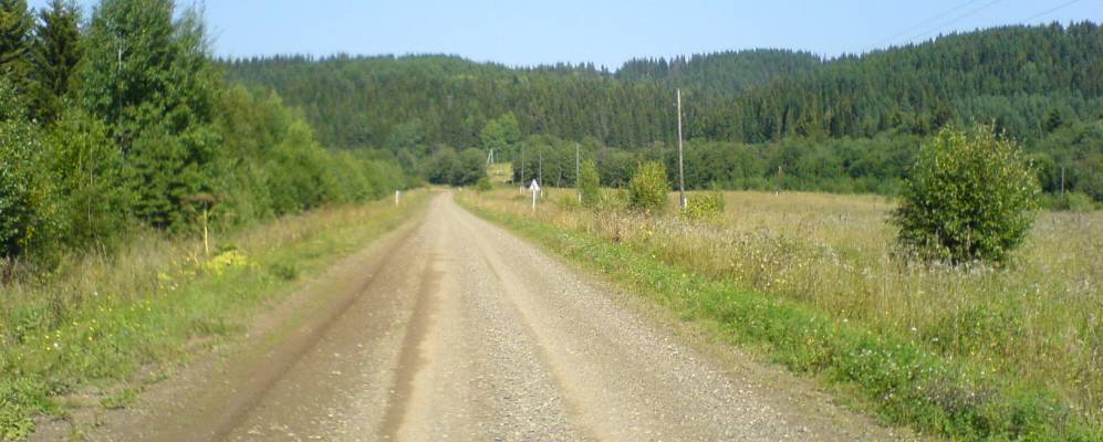 
            Фотография Волков