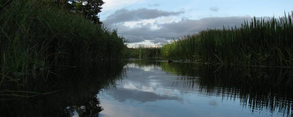 
            Фотография Сапуново