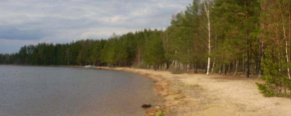 
            Фотография деревни Шеляпы