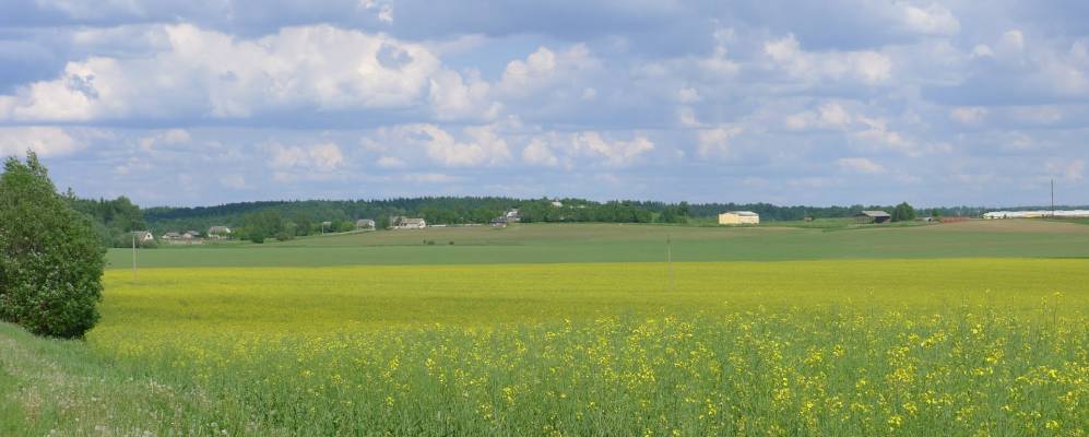 
            Фотография деревни Щербины