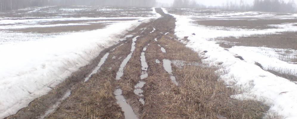 Фотография Низовского