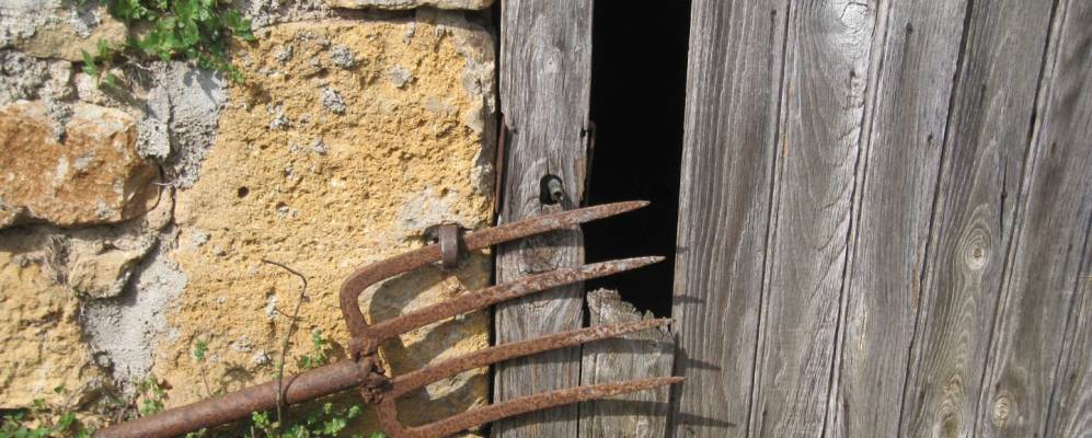 
            Фотография Лимёя