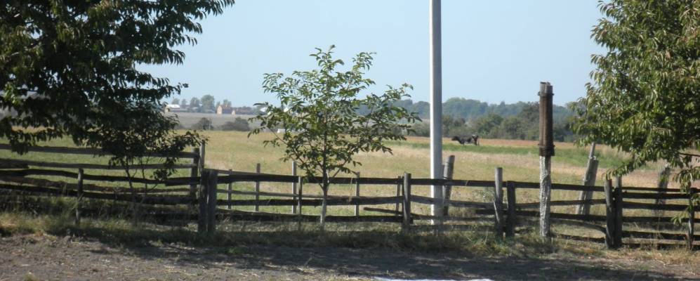 
            Фотография Трещуки